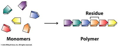 Monomers and polymers