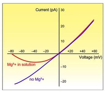 NMDA receptor current-voltage relationship with and without Mg2+