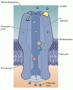 GABAAR pharmacology and channel pore