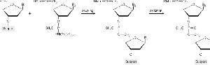 Solid-phase synthesis of oligonucleotides by the phosphoramidite method