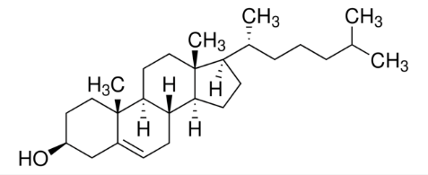 Sterol lipid structure