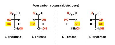 Reducing sugars and hemiacetal group