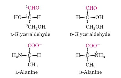 L- and D- isomers of glyceraldehyde and alanine