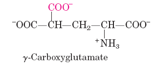 γ-Carboxyglutamate structure