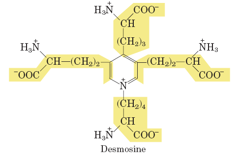 Desmosine structure
