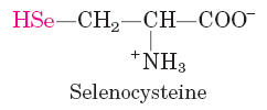 Selenocysteine structure
