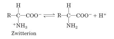 Zwitterion structure of amino acid