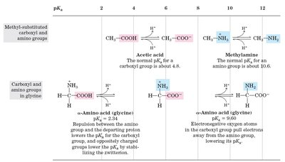 Titration curve of glycine