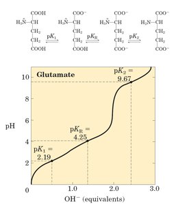 Titration curve of glutamate