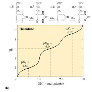 Titration curve of histidine