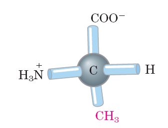 Properties and conventions of common amino acids