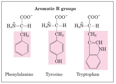 Aromatic R groups