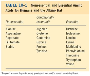 Essential and nonessential amino acids
