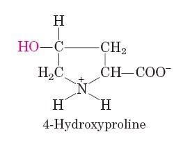 4-Hydroxyproline structure