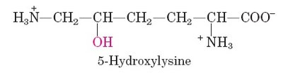 5-Hydroxylysine structure