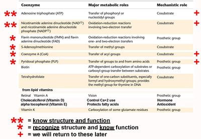 Summary of major coenzymes and their functions