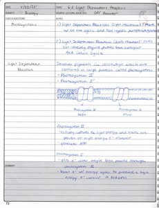 Photosystem diagram