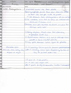 CAM photosynthesis notes