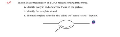 DNA renaturation curve
