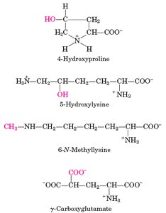 Uncommon amino acids