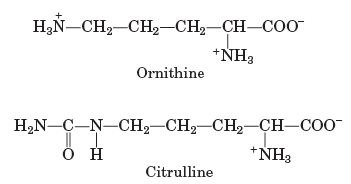 Structures of uncommon amino acids
