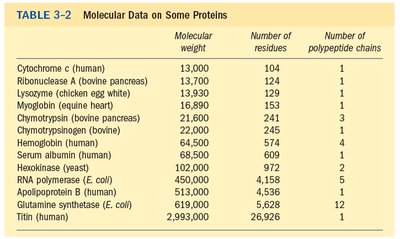 Table of protein molecular data