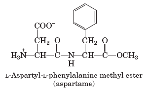 Sequence alignment showing primary structure variability