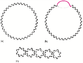 Different states of covalent DNA circle and supercoiling