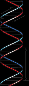DNA double helix with major and minor grooves