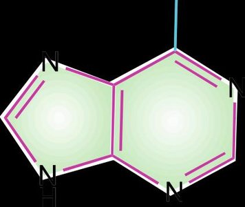 Purine base structure