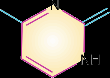 Pyrimidine base structure