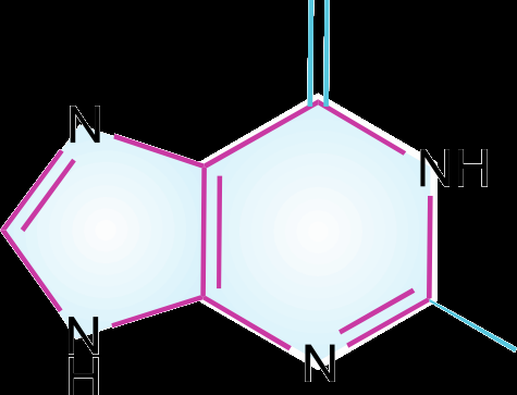 Guanine structure