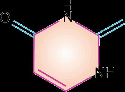 Cytosine structure