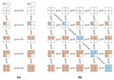 MWC and KNF models of allostery