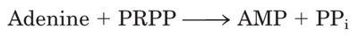 Salvage pathway reaction for AMP synthesis