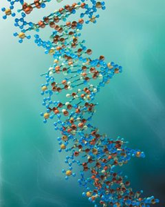 Diagram of information flow in molecular biology (Central Dogma)