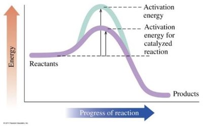 Catalyst lowers activation energy