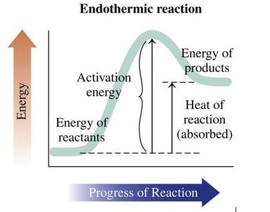 Endothermic reaction energy diagram