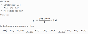 Calculation of glycine pI and charge states
