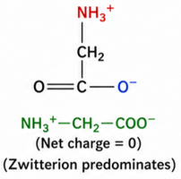 Glycine at pI (zwitterion, net charge 0)