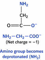 Glycine at high pH (net charge -1)
