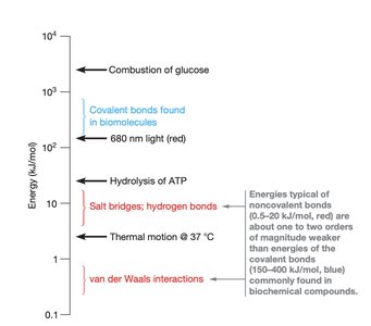 Relative energies of covalent and noncovalent interactions