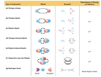 Types of noncovalent interactions, models, examples, and distance dependence