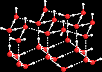 Amphipathic lipid molecule representation