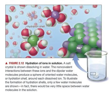 Summary table of noncovalent interactions