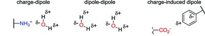 Examples of charge-dipole, dipole-dipole, and charge-induced dipole interactions