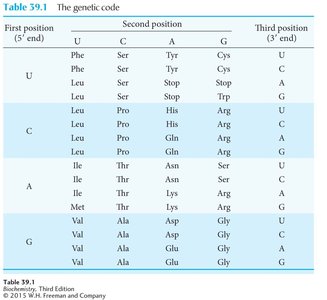 Genetic Code Table