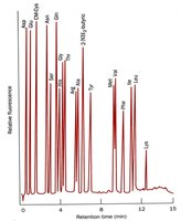 Amino acid analyzer chromatogram showing retention times for different amino acids