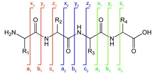 Peptide backbone fragmentation notation for mass spectrometry