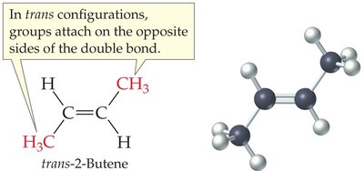 No cis-trans isomerism in 1-butene and 2-methylpropene